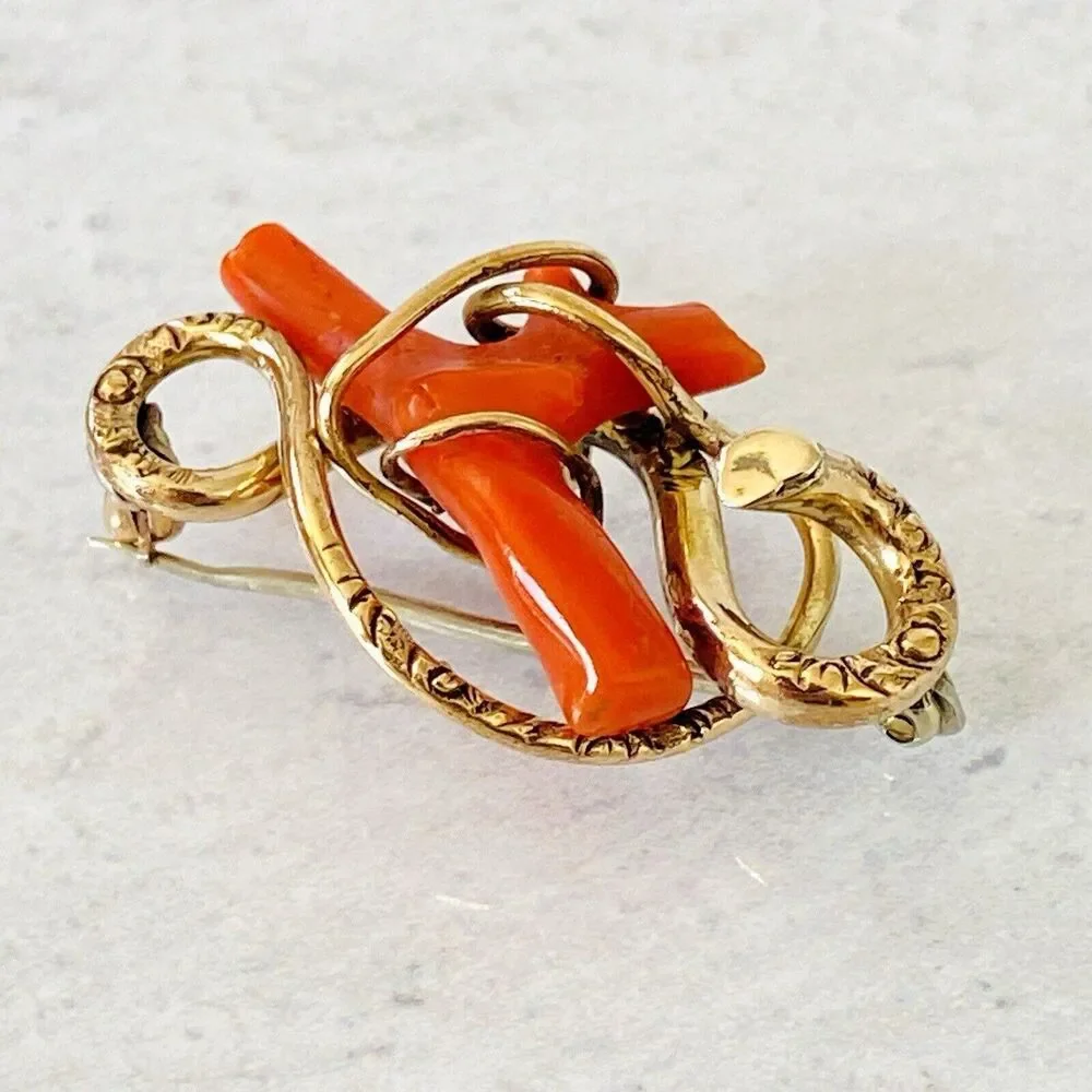 Antique Victorian Coral Branch Brooch In Gold Filled Snake Form Nice 1.5